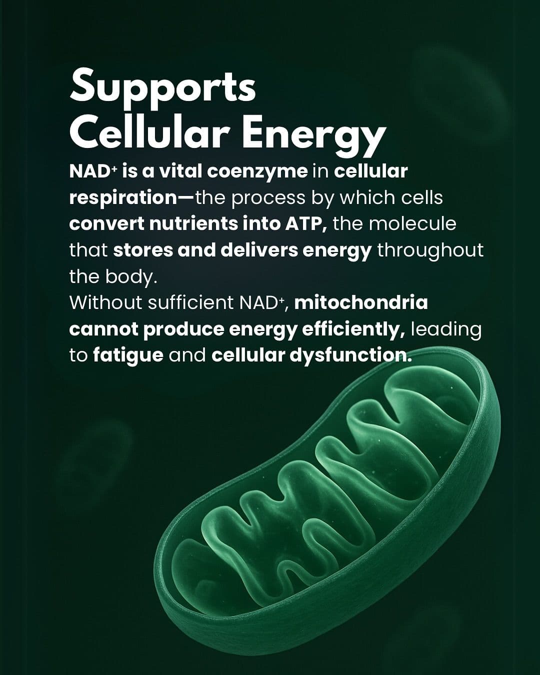 Best NAD supplement: how to buy the right one
